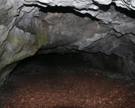 Извадиха полумъртви двама иманяри от пещера над Храбрино*