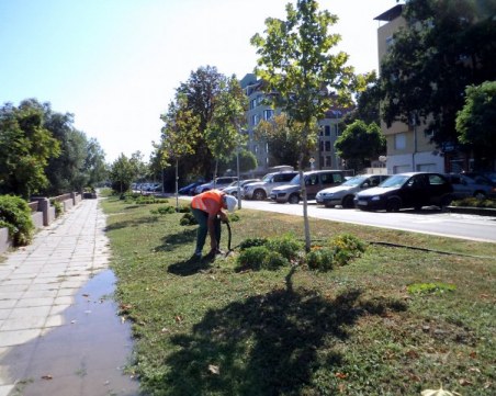 Престой на Синя зона излезе солено на пловдивчанка, платила на паркомат СНИМКИ