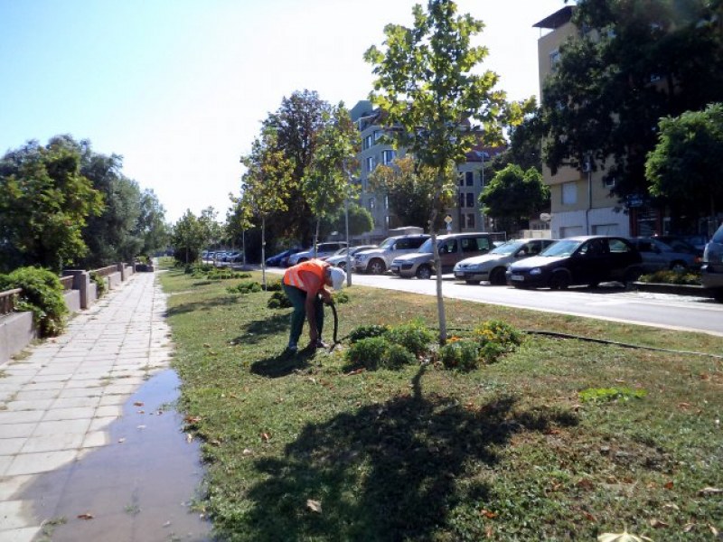 Престой на Синя зона излезе солено на пловдивчанка, платила на паркомат СНИМКИ