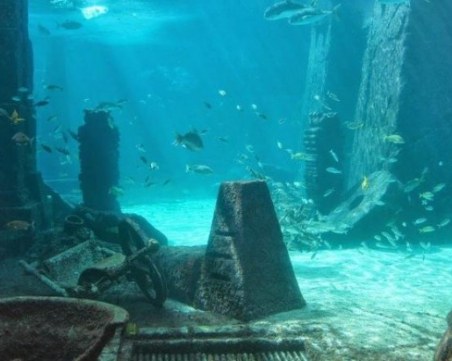 Няколко уникални открития, за които науката няма обяснение СНИМКИ