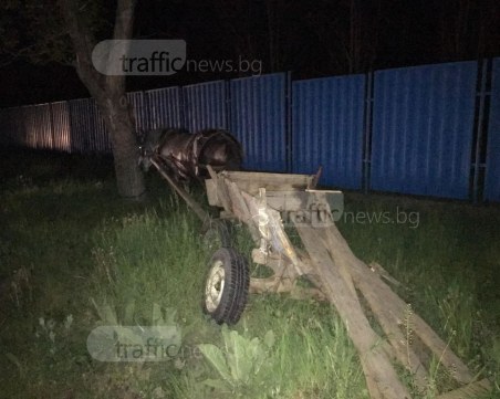 Тежка катастрофа с каруца в Пловдивско СНИМКИ и ВИДЕО