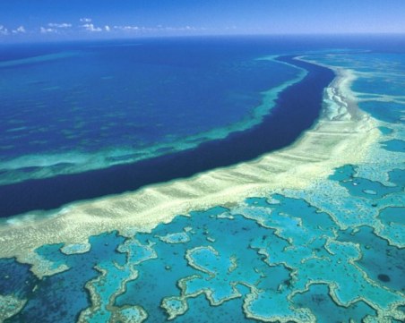 Австралия заделя колосална сума за Големия бариерен риф