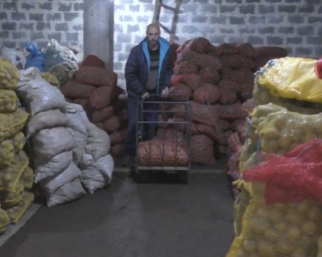 Тонове картофи залежават в Смолянско заради липса на пазар