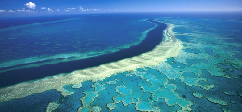 Австралия заделя колосална сума за Големия бариерен риф