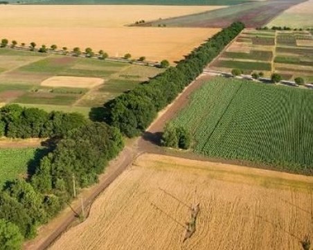 Земята ни – раздробена на 20 млн. парчета между 3 млн. собственици