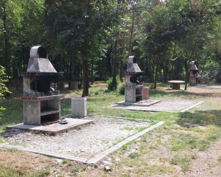 Хвърлиха отрова в парк Лаута! Няколко кучета са натровени