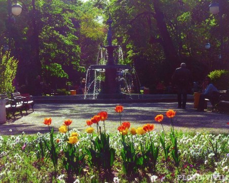 Живакът отново скача до 30 градуса в Пловдив, скоро започват валежи