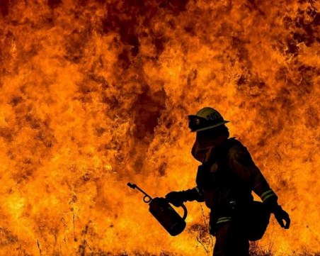 Собственичката на изгорелия склад подозира умишлен палеж ВИДЕО