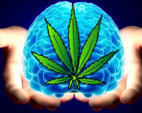 Прави ли ни пушенето на марихуана по-креативни?