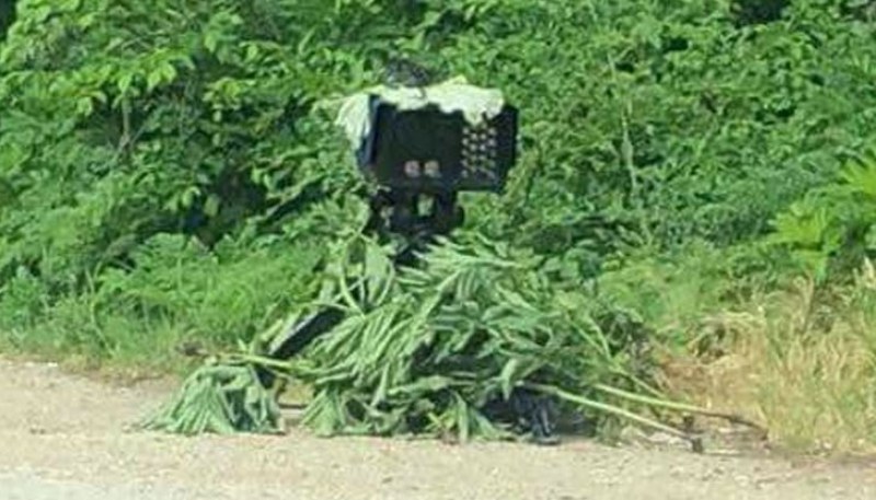 КАТ дебне нарушители с камера с “натурален“ камуфлаж