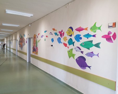 Доброволци преобразиха част от детската хирургия в болница в Пловдив СНИМКИ