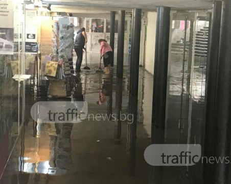 Собственици на магазините в подлеза на Гарата: Хлебарки лазеха по нас, фекалии бликаха от тоалетните ВИДЕО