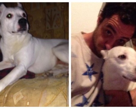 Тера се изгуби в района на Панаира! Да помогнем в търсенето СНИМКИ