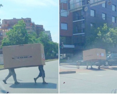 Неидентифициран кашонен обект на четири крака пресича кръстовища в Пловдив СНИМКИ