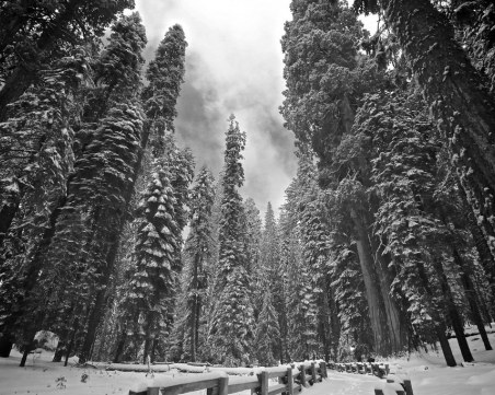 След трагедията с Боян Петров: друг българин е открит мъртъв на опасен връх в Сиера Невада