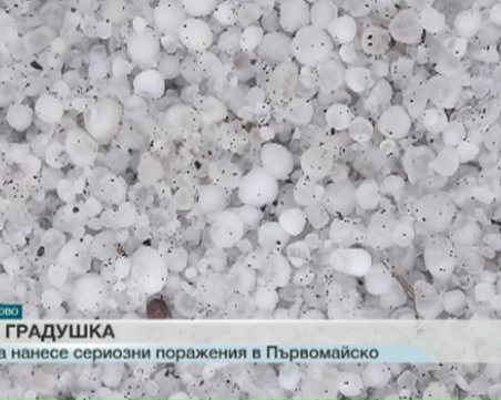 Градушка колкото голяма череша удари пловдивско село