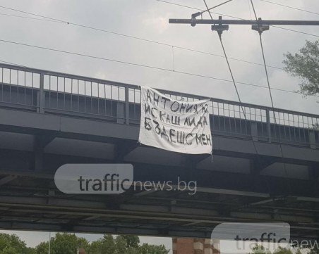 Антония Ю., искаш ли да бъдеш с мен?, пита влюбен пловдивчанин СНИМКИ