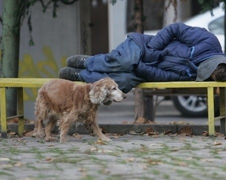 Пловдив сред градовете с най-малко бездомници