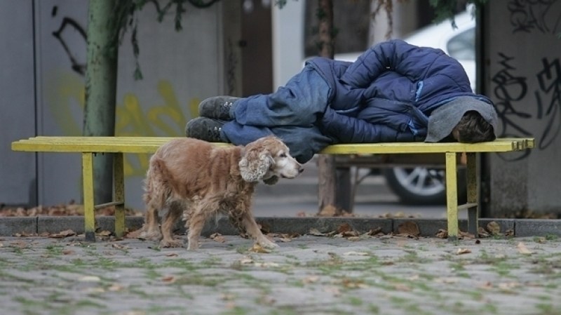 Пловдив сред градовете с най-малко бездомници