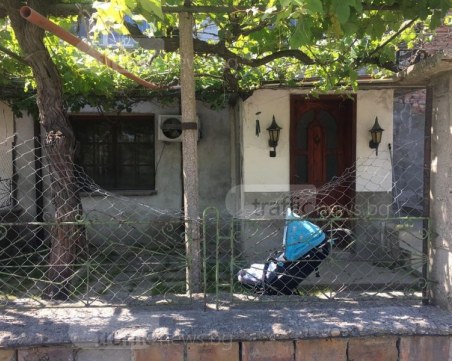 Съсед е спасил нахапано от дого аржентино дете в пловдивско село СНИМКИ+ВИДЕО