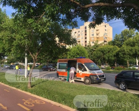 Жена с куче е пометена в Пловдив! Пресичала неправилно до “Верди“ СНИМКИ