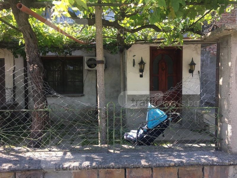 Съсед е спасил нахапано от дого аржентино дете в пловдивско село СНИМКИ+ВИДЕО