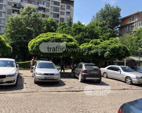 Напук на всички!  Едни се лутат в търсене на парко място, други решават, че са царе