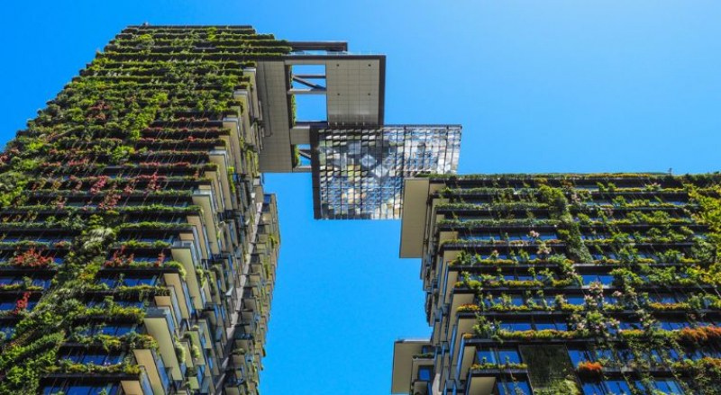 Невероятни вертикални градини от целия свят СНИМКИ