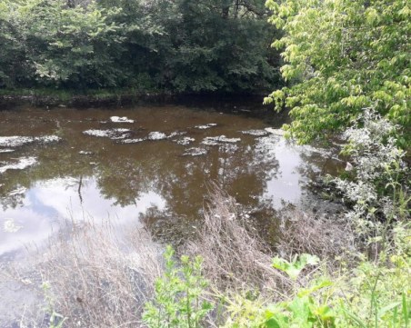 Екокатастрофа: Намериха умряла риба в река в Пловдивско ВИДЕО