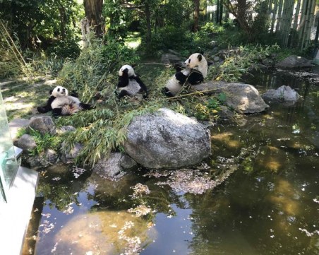 Пловдивският зоопарк може да взима пример от най-стария в света СНИМКИ