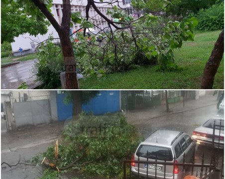 Бурята удари Кючука и Тракия, изкорени стълбове и дървета СНИМКИ+ВИДЕО