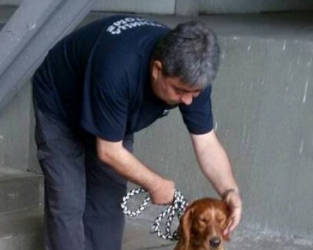 Шпаньолът Ричи надуши хероин за 12 милиона лева