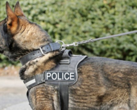 Удар на полицията! С обучено куче откриха 200 кг хероин на Капитан Андреево