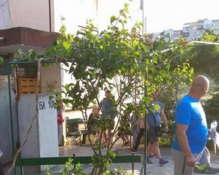 Мъж сложи край на живота си след любовна драма, хвърли се от терасата СНИМКА
