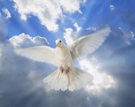 Светият Дух слиза на земята! Християнската църква празнува рожден ден - Петдесетница е!