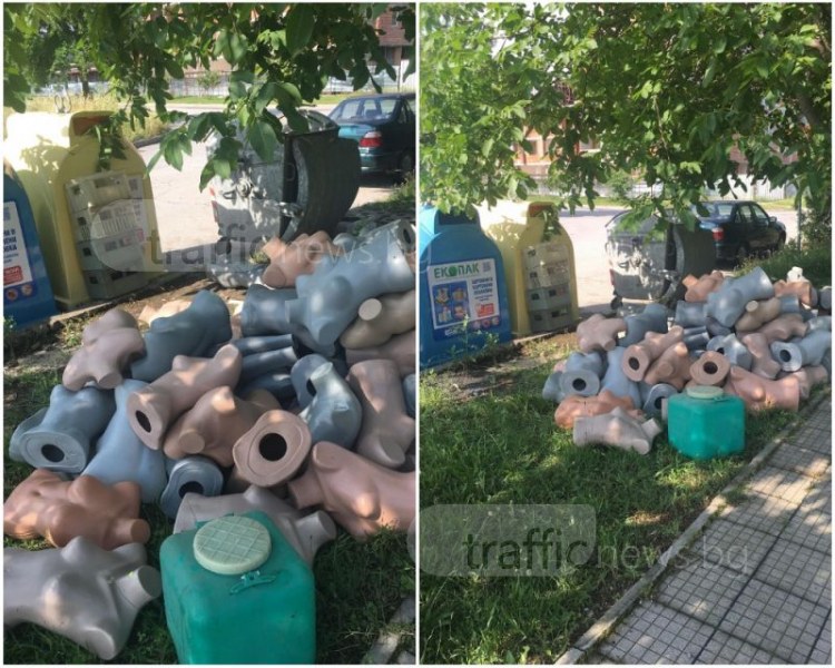 Магазинер изхвърли “труповете“ край казана в Пловдив СНИМКИ