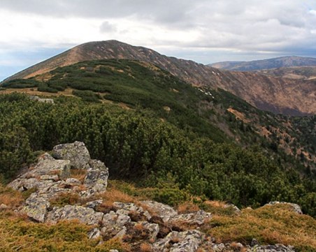 Арестуваха администратор на педофилски сайт на връх Ком