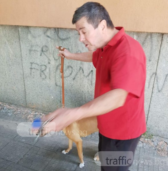 Този мъж държи кучето му да се изхожда на детска площадка! После майките чистят... СНИМКИ