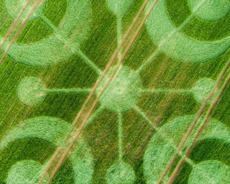 Тайнствен шедьовър се появи на поле в село! Жителите са убедени, че е дело на извънземни