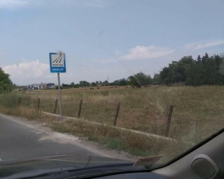 Искат ни винетка и в Пловдив СНИМКА