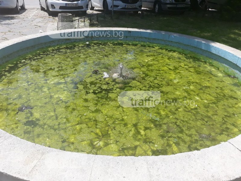 Пловдив вече си има зелен фонтан! Костенурки едва се движат в жабунясалата вода СНИМКИ