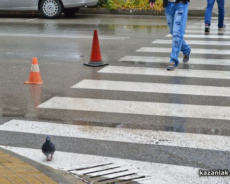 Блъснаха майка и 8-годишния й син на пешеходна пътека