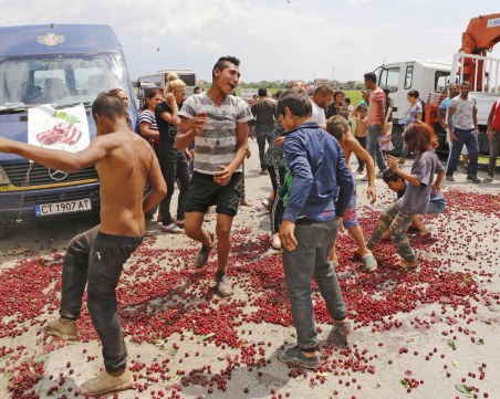 Купища череши заляха АМ 