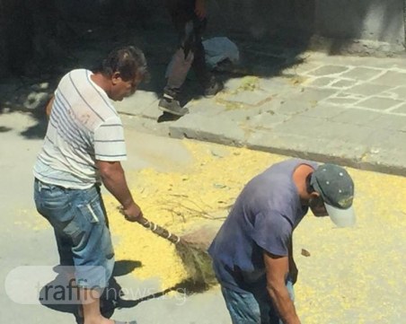 Пловдивчанка се размечта: Ако и метачите от Чистота метяха по 7 пъти на ден улиците... СНИМКИ