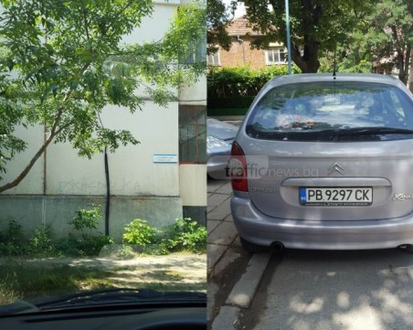 50-годишна дама запуши пловдивчанка, посъветва я да мине през… блока СНИМКИ