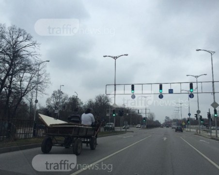 Глобите уплашиха пловдивските роми, каруците рязко намаляха в Столипиново