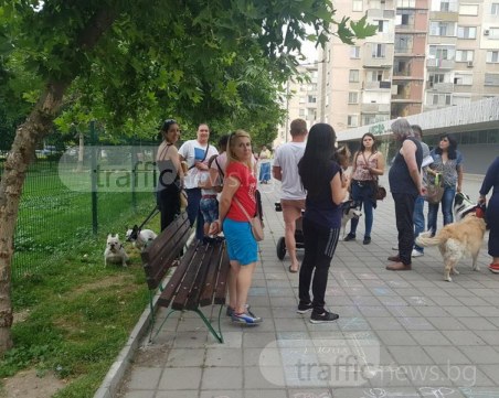 Протест на четири лапи! Стопани на кучета си поискаха площадката до Луксор СНИМКИ