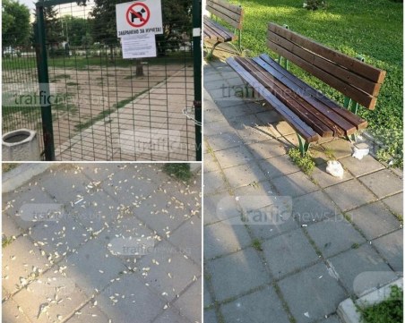 Протест: Кучкари се изправят срещу родители в Кършияка, искат си площадката СНИМКИ