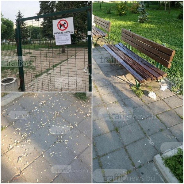 Протест: Кучкари се изправят срещу родители в Кършияка, искат си площадката СНИМКИ
