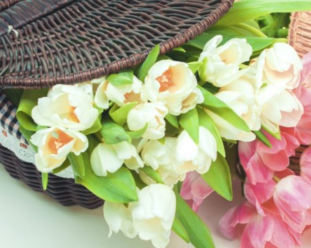 Няколко красиви имена имат празник днес